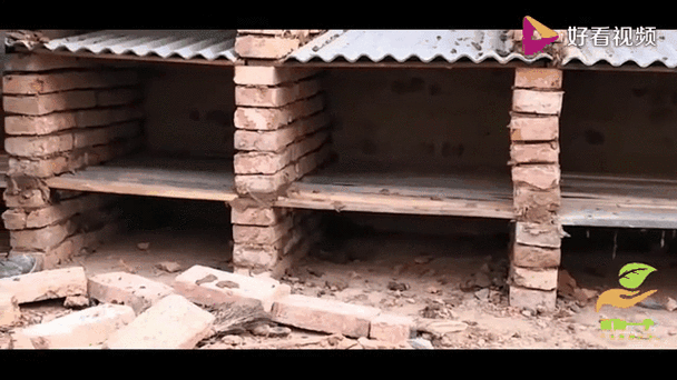 养殖兔子的兔棚怎么搭建游戏截图