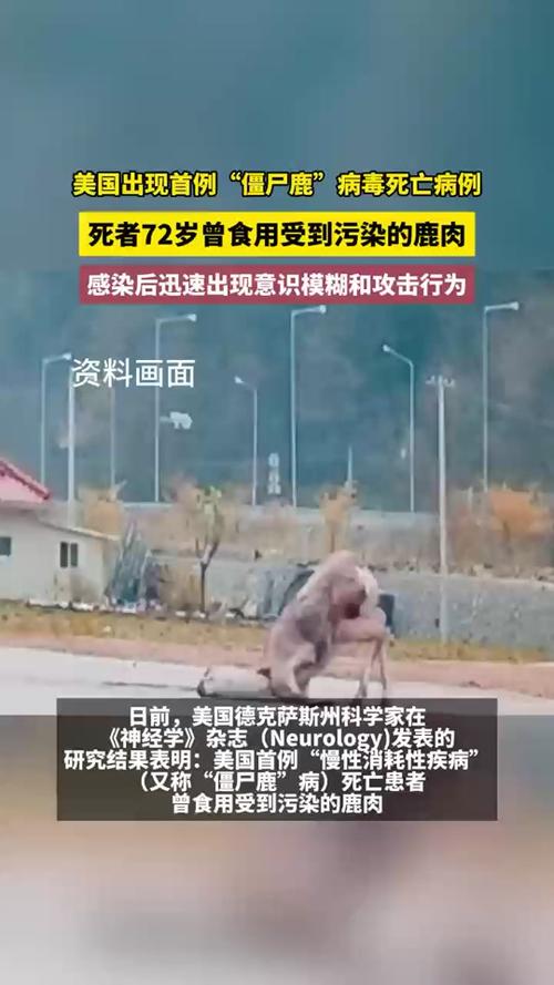 美国发现僵尸病毒游戏截图