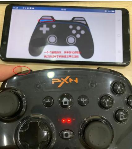 有线手柄设置小鸡模拟器的方法游戏截图