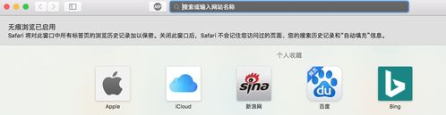 关闭safari无痕浏览模式缩略图