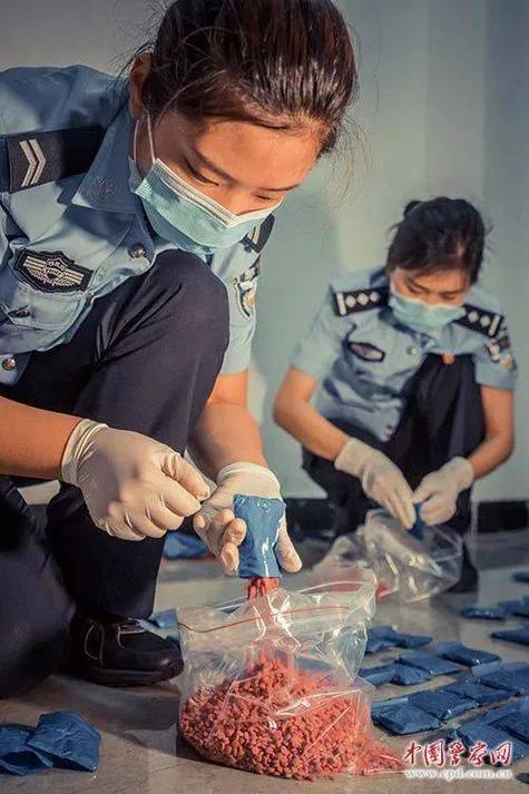 女缉毒警察游戏截图