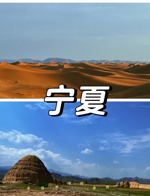 下载我的宁夏新版本缩略图