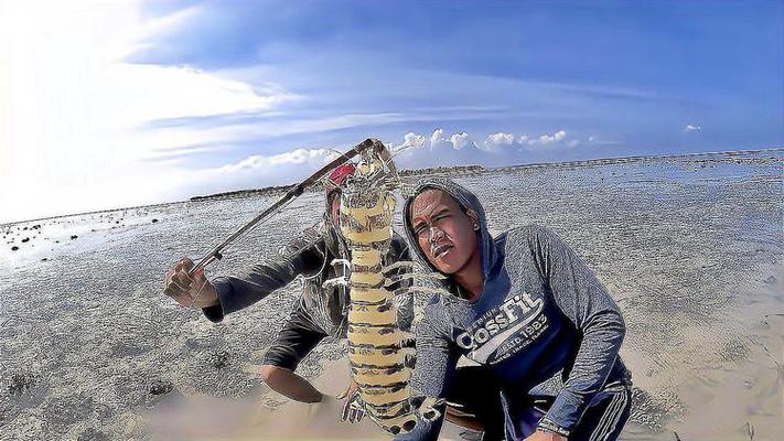 抓皮皮虾视频缩略图