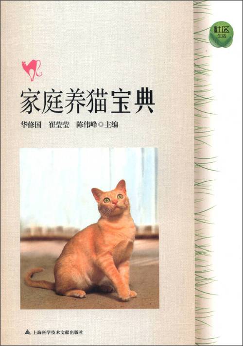 网络猫是什么游戏截图