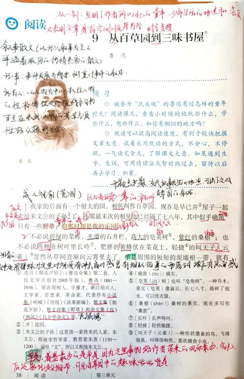 野牵牛阅读答案缩略图