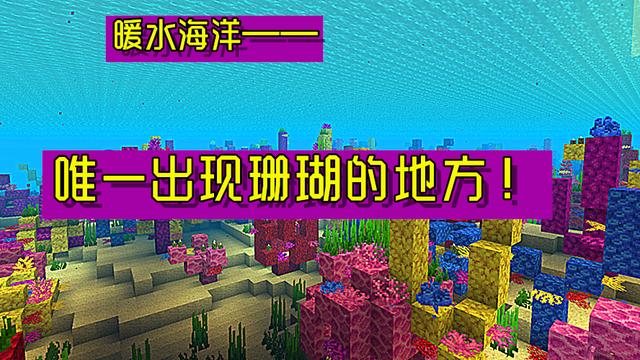 我的世界暖水海洋种子缩略图
