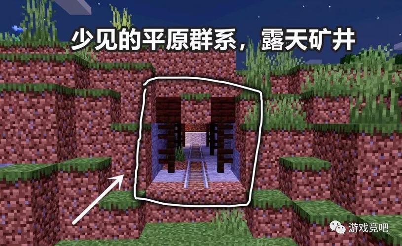 我的世界超稀有种子游戏截图