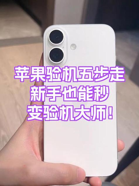 苹果手机验机需要哪些步骤游戏截图
