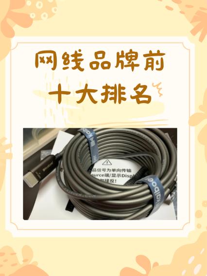 最好的网线品牌排行榜缩略图