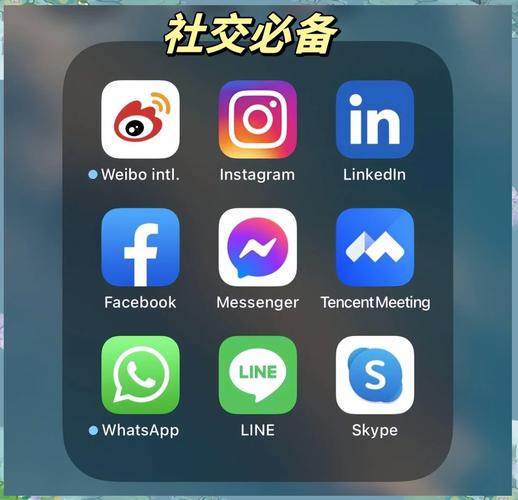 biscuit社交平台缩略图