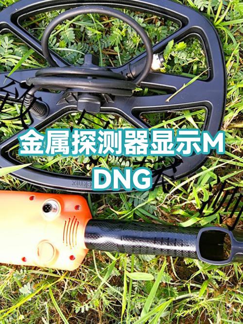 金山s探测器多少钱一台缩略图