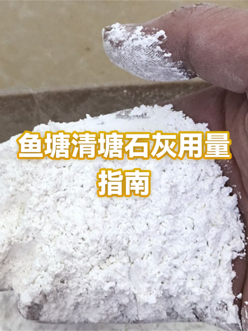 一亩鱼塘用多少生石灰缩略图