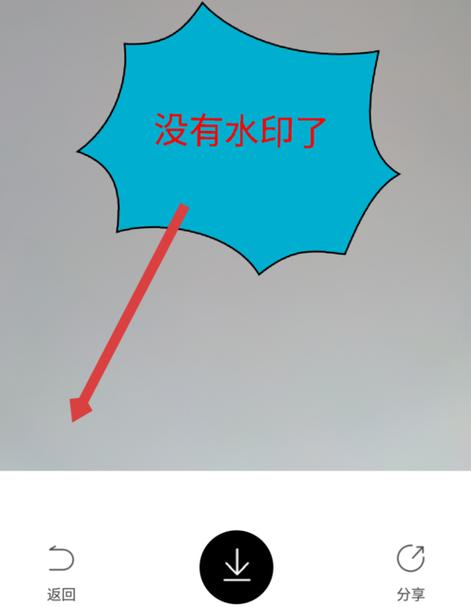 抖音轻颜相机特效在哪里游戏截图