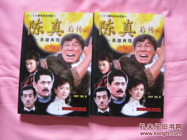 陈真后传27缩略图