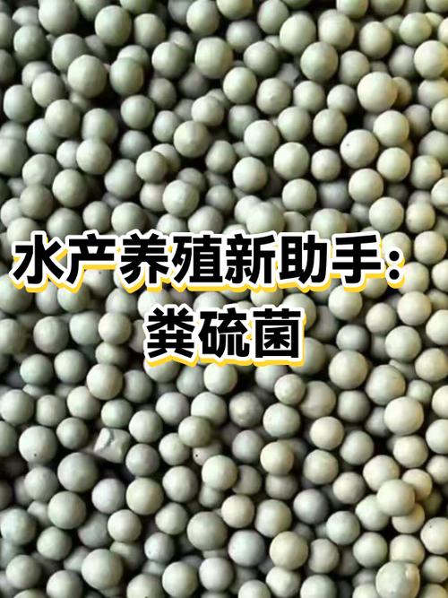 农村水产养殖缩略图