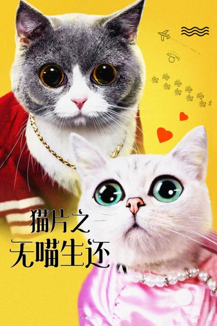 韵母攻略顾小暖原文免费阅读缩略图
