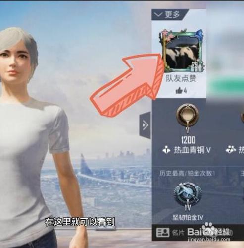 和平精英所有头像框缩略图