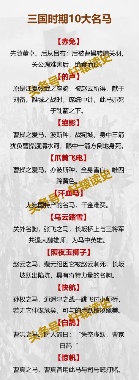 中国名马排名第一缩略图