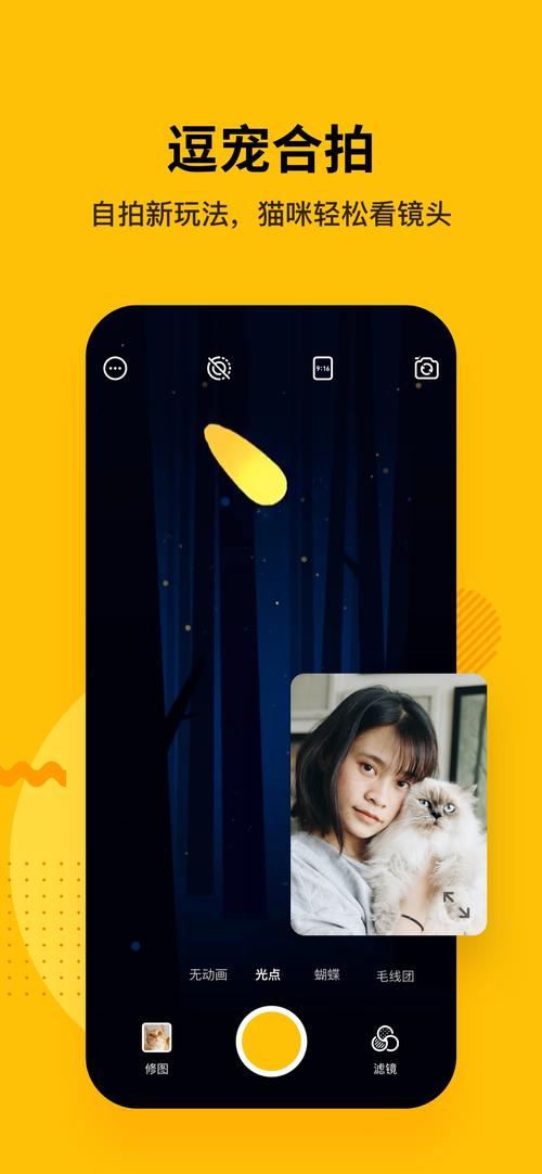 猫咪APP清爽版游戏截图