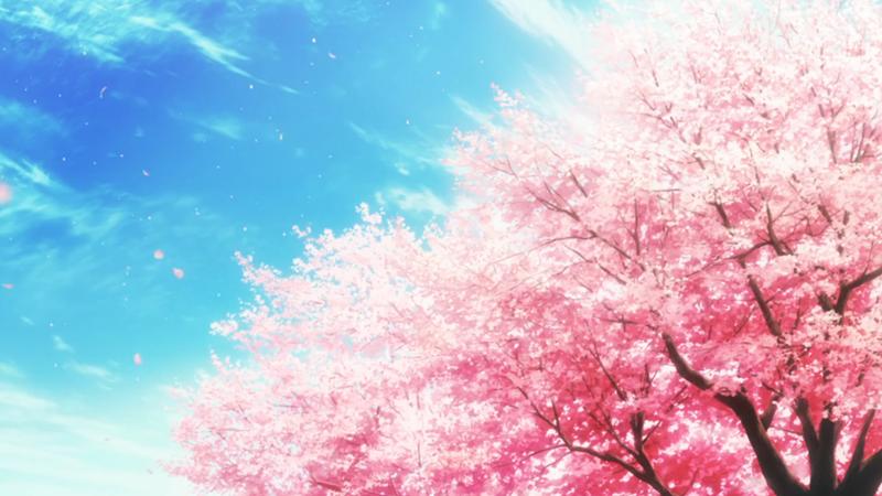 樱花动漫软件亮点