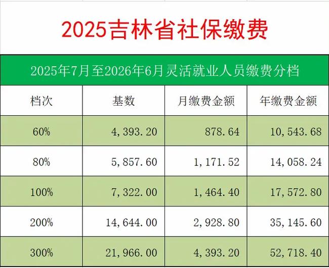 吉林税务社保缴费缩略图