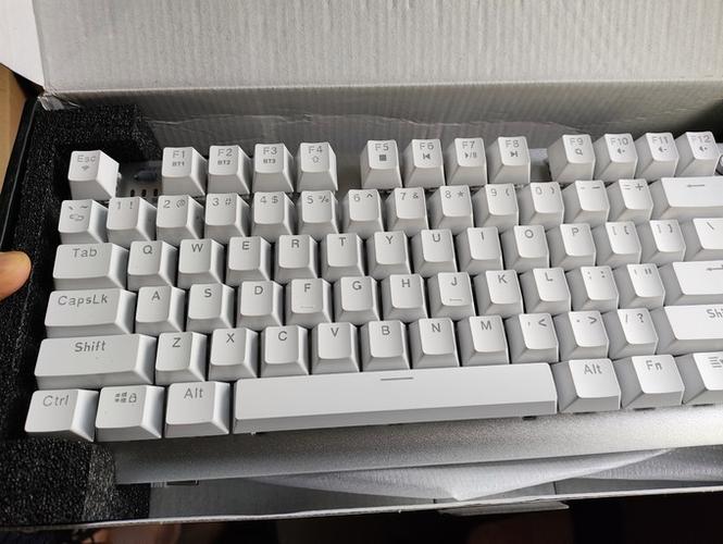 狼蛛键盘esc按了没反应游戏截图