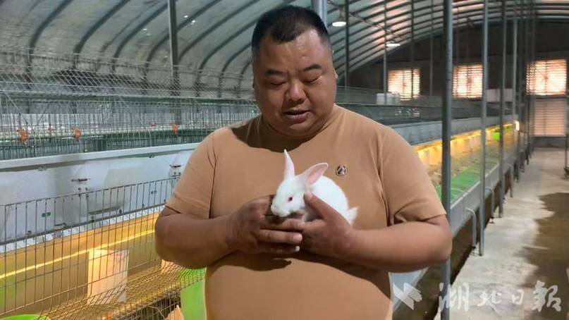 养兔一年能赚多少钱游戏截图