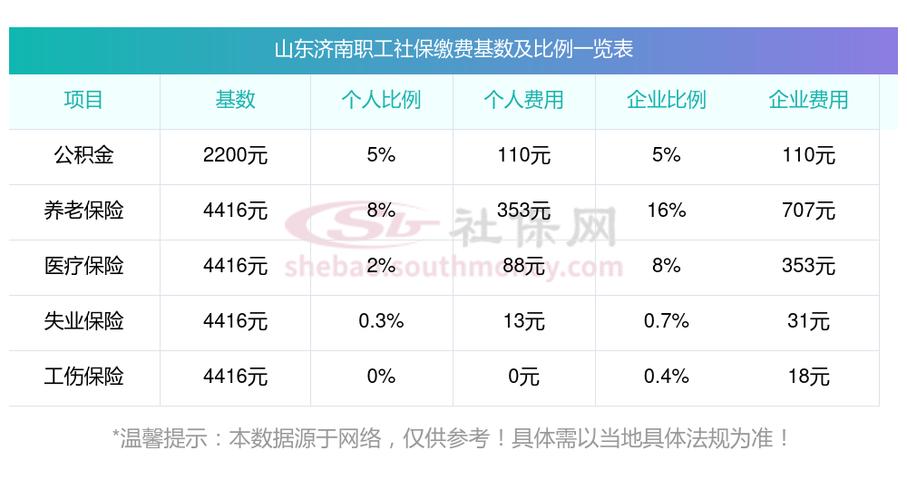 山东税务社保缴费缩略图