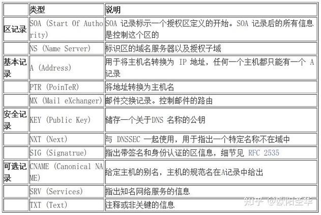 ns网络设置dns游戏截图