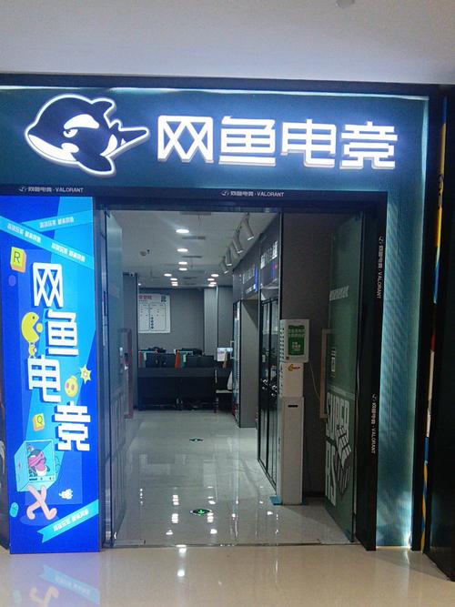 酷鱼网查分官方入口缩略图