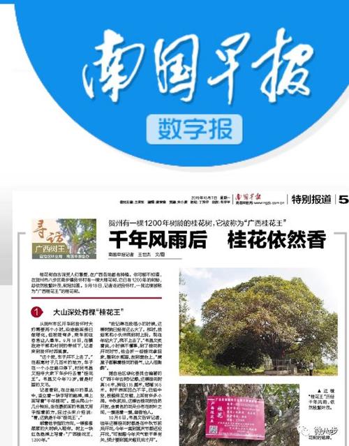 今日南国早报头版图片缩略图