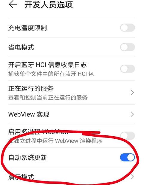 荣耀20关闭系统更新游戏截图