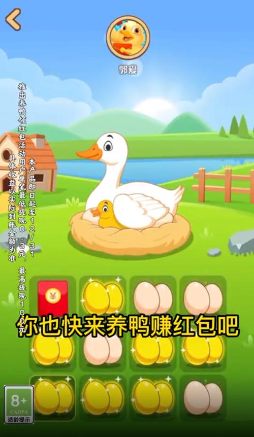 趣养鸭下载缩略图