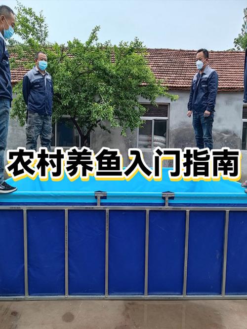 农村养鱼养什么鱼赚钱缩略图