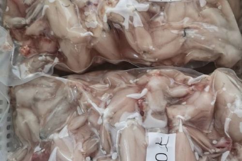 牛蛙肉多少钱一斤游戏截图