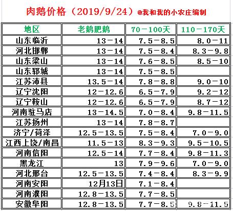 养鹅1000只利润一览表缩略图
