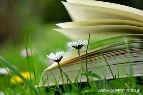 搜书软件哪个好用缩略图