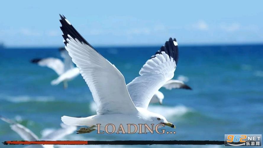 海鸥安卓版本游戏截图