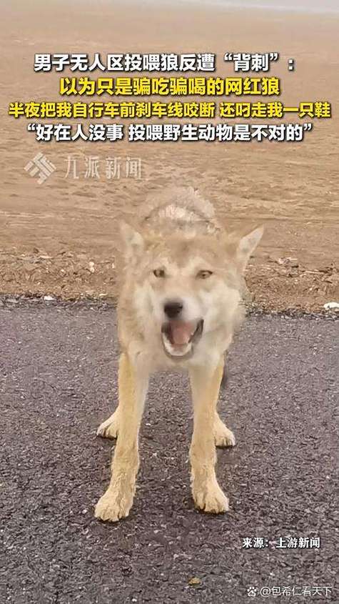 无人区狼吃人真实事件图标