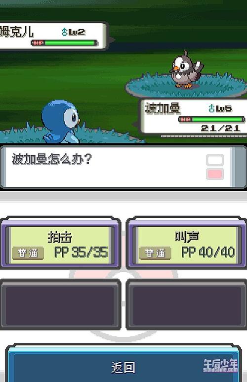 口袋妖怪nds802改版缩略图