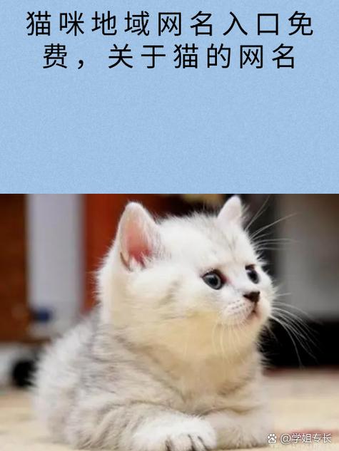 宙斯浏览器永久访问本站猫咪缩略图