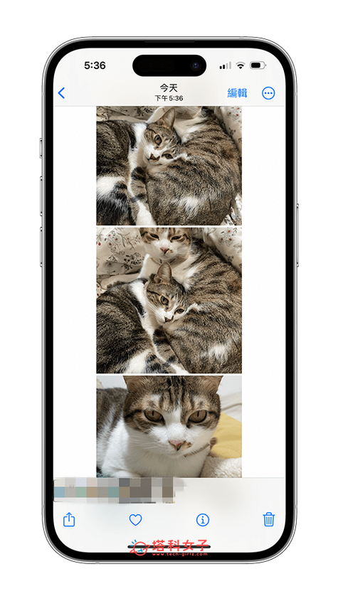iphone照片合并成一张照片游戏截图