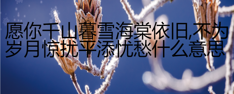 海棠依旧 百度网盘游戏截图