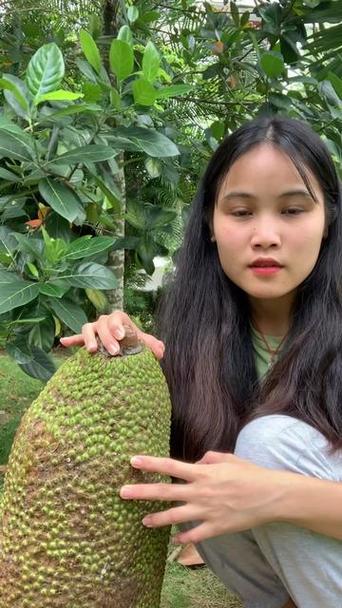 菠萝蜜八分熟要放几天游戏截图