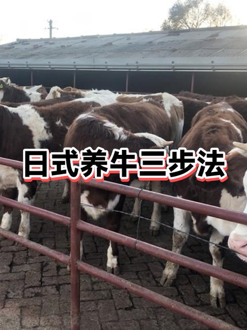 养牛方法和技术游戏截图