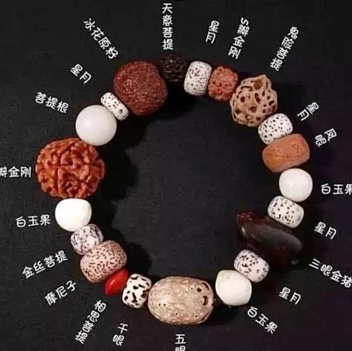 菩提的真正含义缩略图