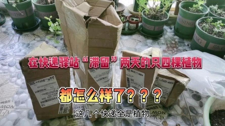 菜鸟驿站最多滞留多久缩略图