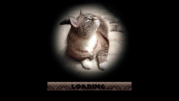 流浪猫模拟器游戏截图