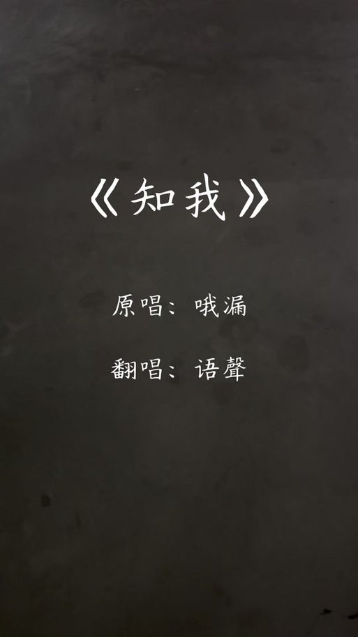 《知我》歌词完整版游戏截图