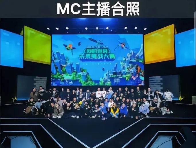 mc主播常用的背景音乐游戏截图